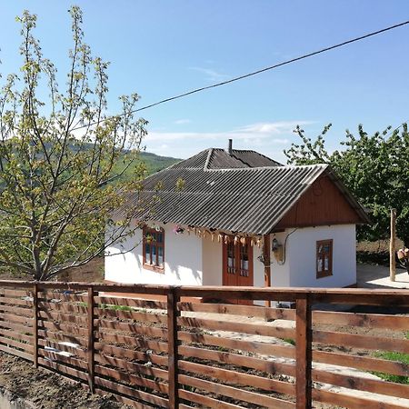 Pensiunea Turistica "Casa Rustica" Villa Chiscareni Buitenkant foto