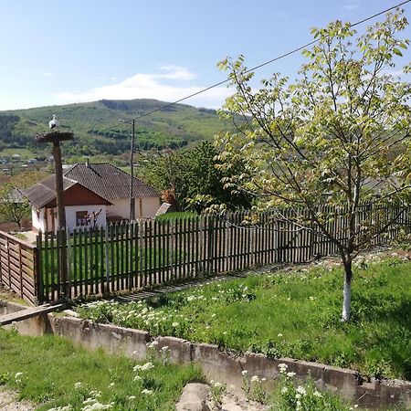 Pensiunea Turistica "Casa Rustica" Villa Chiscareni Buitenkant foto