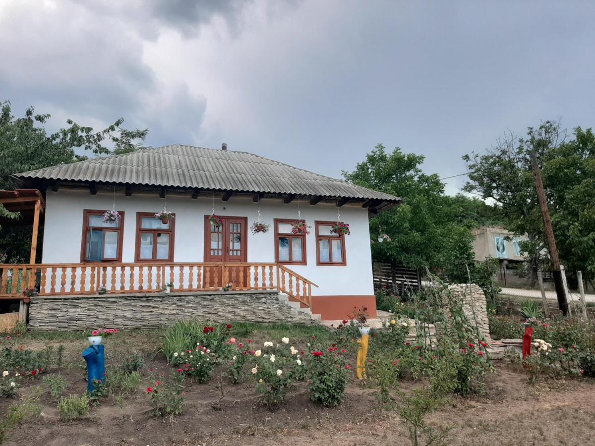 Pensiunea Turistica "Casa Rustica" Villa Chiscareni Buitenkant foto