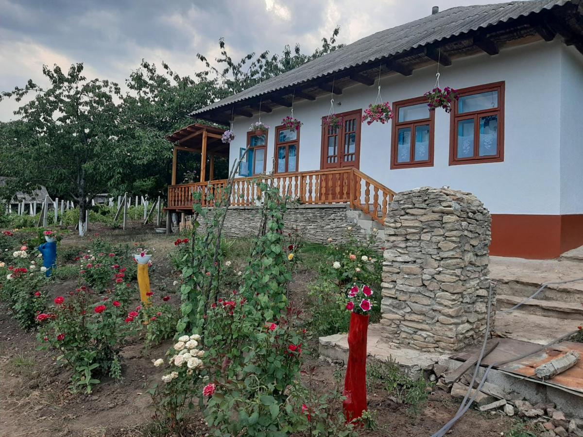 Pensiunea Turistica "Casa Rustica" Villa Chiscareni Buitenkant foto