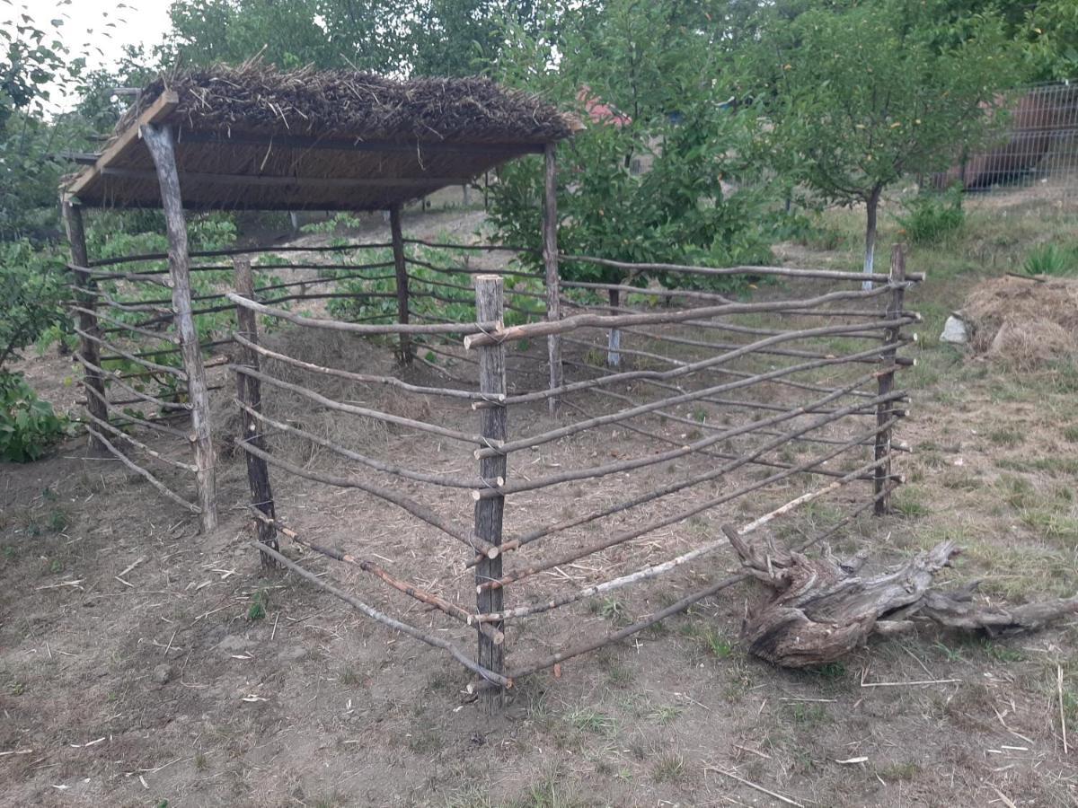 Pensiunea Turistica "Casa Rustica" Villa Chiscareni Buitenkant foto