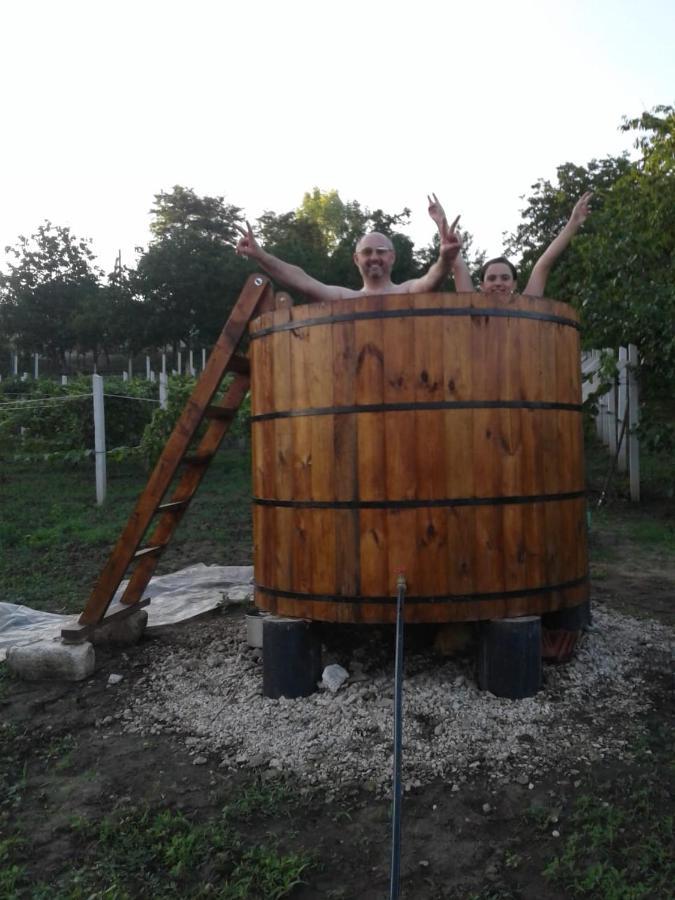 Pensiunea Turistica "Casa Rustica" Villa Chiscareni Buitenkant foto