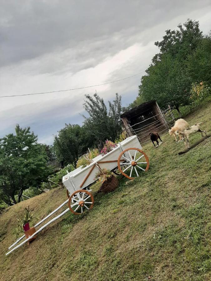 Pensiunea Turistica "Casa Rustica" Villa Chiscareni Buitenkant foto