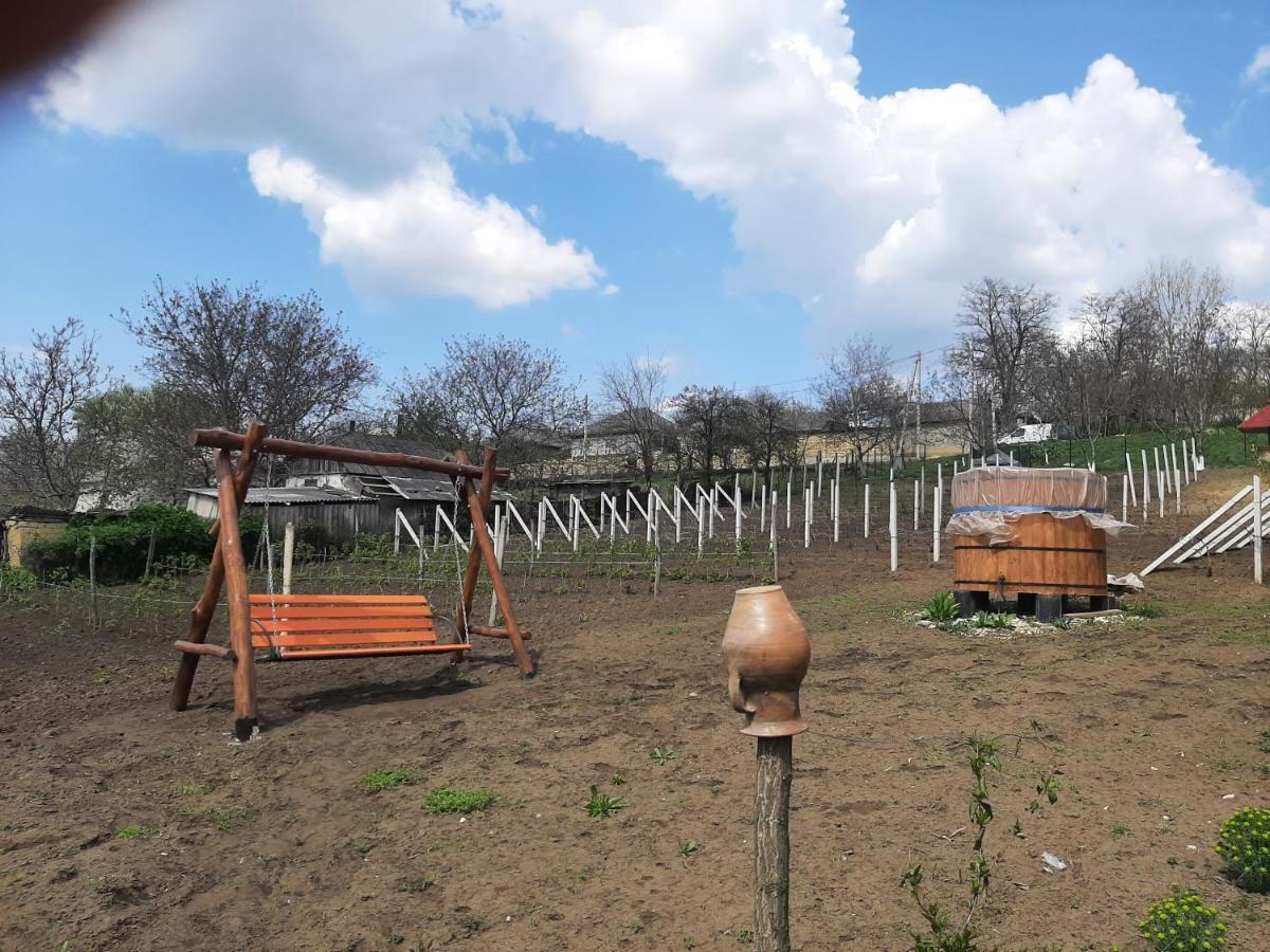 Pensiunea Turistica "Casa Rustica" Villa Chiscareni Buitenkant foto