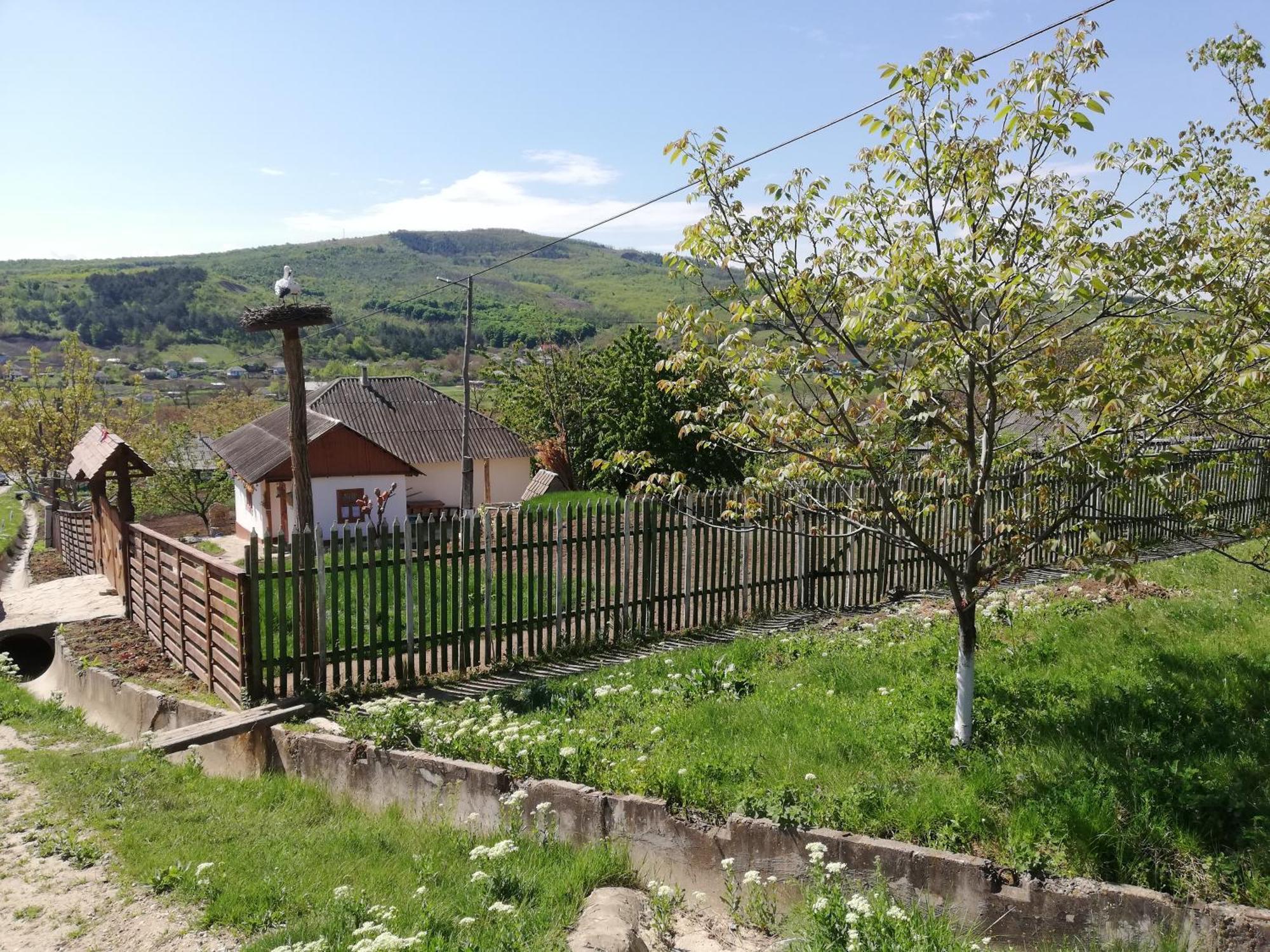 Pensiunea Turistica "Casa Rustica" Villa Chiscareni Buitenkant foto