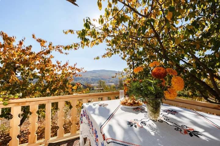 Pensiunea Turistica "Casa Rustica" Villa Chiscareni Buitenkant foto