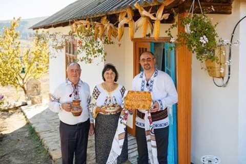 Pensiunea Turistica "Casa Rustica" Villa Chiscareni Buitenkant foto