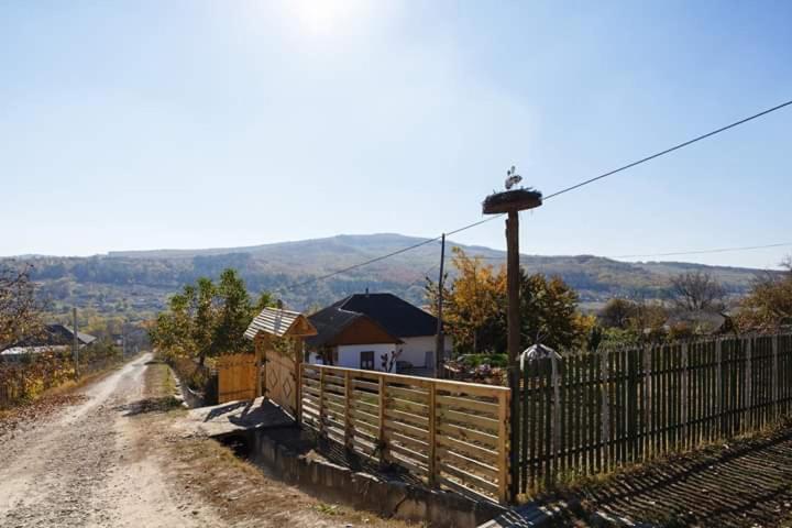 Pensiunea Turistica "Casa Rustica" Villa Chiscareni Buitenkant foto