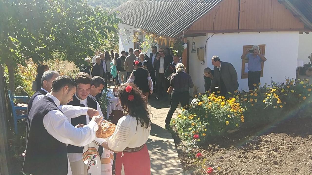 Pensiunea Turistica "Casa Rustica" Villa Chiscareni Buitenkant foto