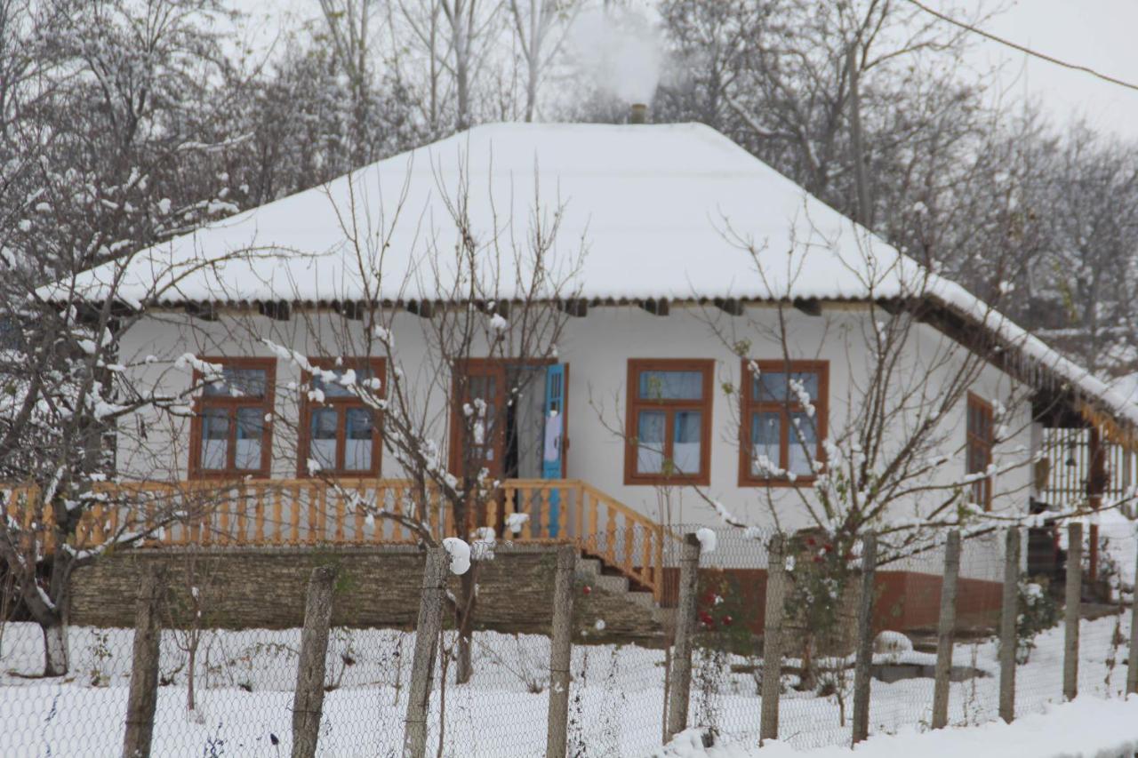 Pensiunea Turistica "Casa Rustica" Villa Chiscareni Buitenkant foto