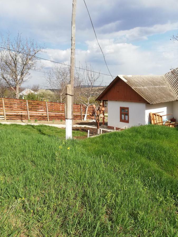 Pensiunea Turistica "Casa Rustica" Villa Chiscareni Buitenkant foto