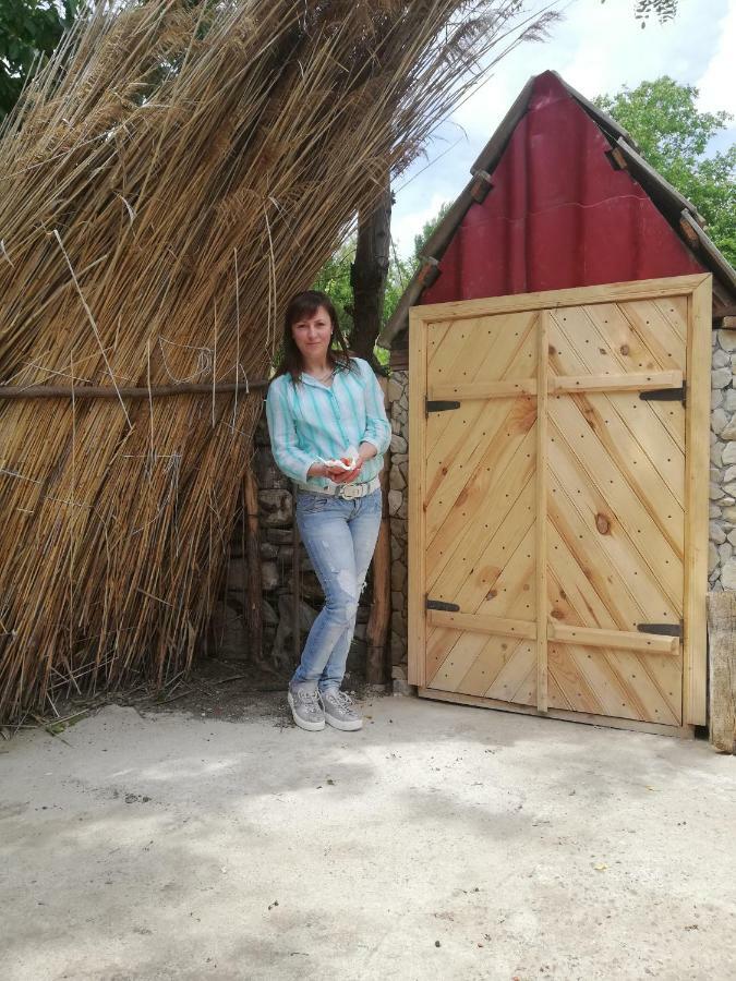 Pensiunea Turistica "Casa Rustica" Villa Chiscareni Buitenkant foto