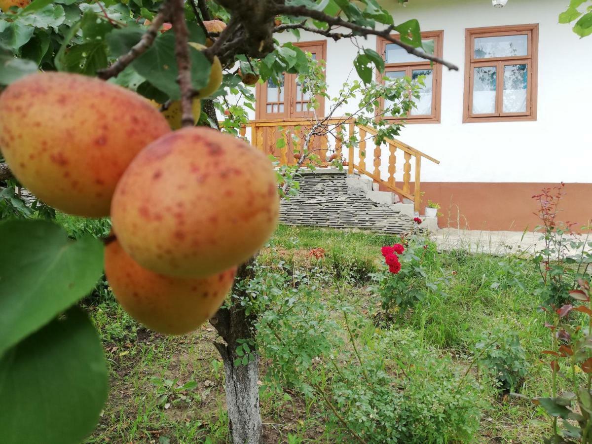 Pensiunea Turistica "Casa Rustica" Villa Chiscareni Buitenkant foto