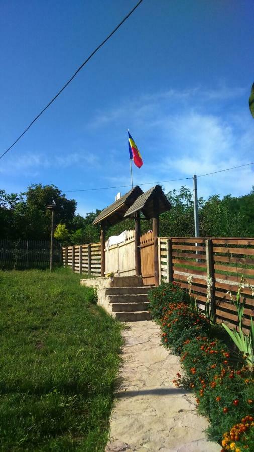 Pensiunea Turistica "Casa Rustica" Villa Chiscareni Buitenkant foto