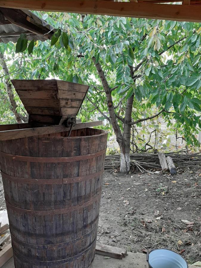 Pensiunea Turistica "Casa Rustica" Villa Chiscareni Buitenkant foto